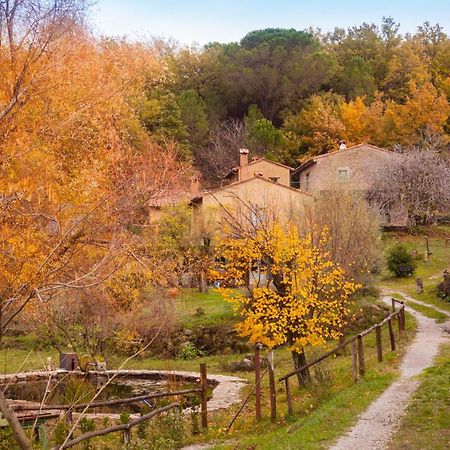 Вілла Podere Tepolino Кастель-дель-П'яно Екстер'єр фото