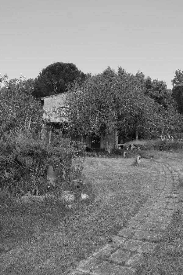 Вілла Podere Tepolino Кастель-дель-П'яно Екстер'єр фото