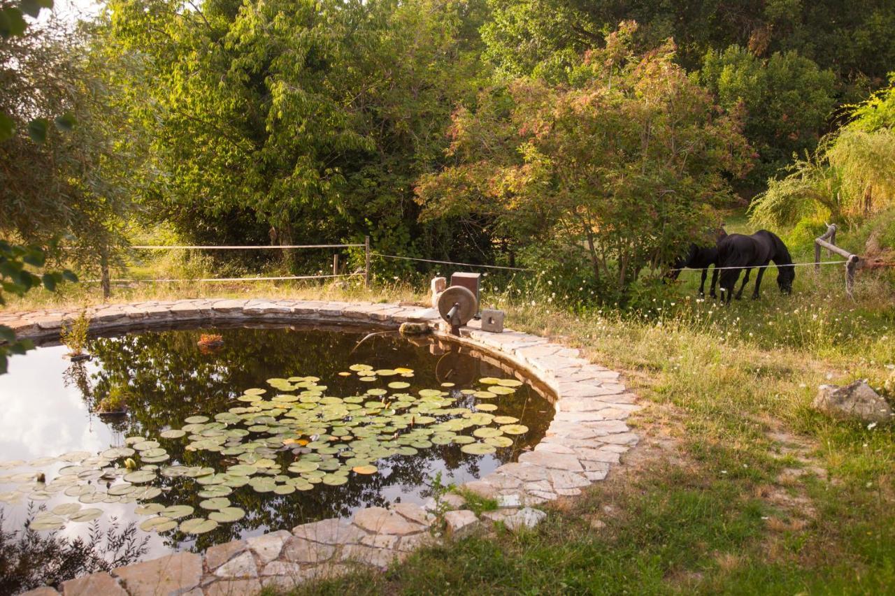 Вілла Podere Tepolino Кастель-дель-П'яно Екстер'єр фото