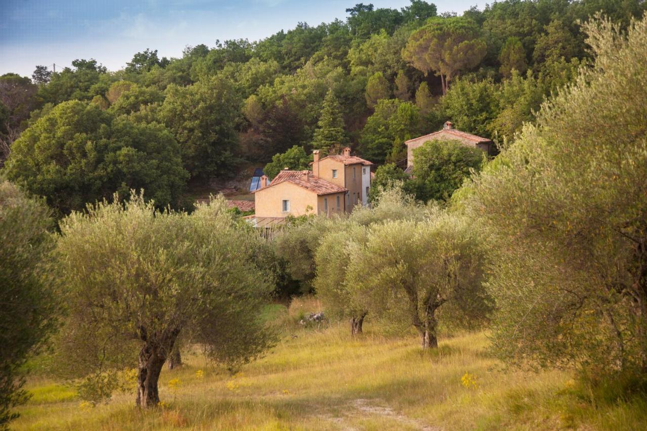 Вілла Podere Tepolino Кастель-дель-П'яно Екстер'єр фото