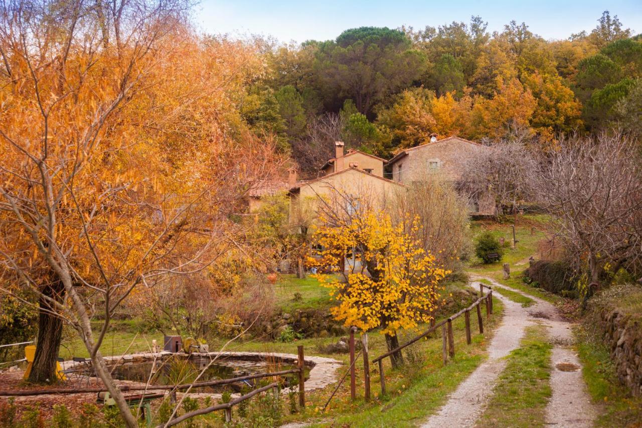 Вілла Podere Tepolino Кастель-дель-П'яно Екстер'єр фото