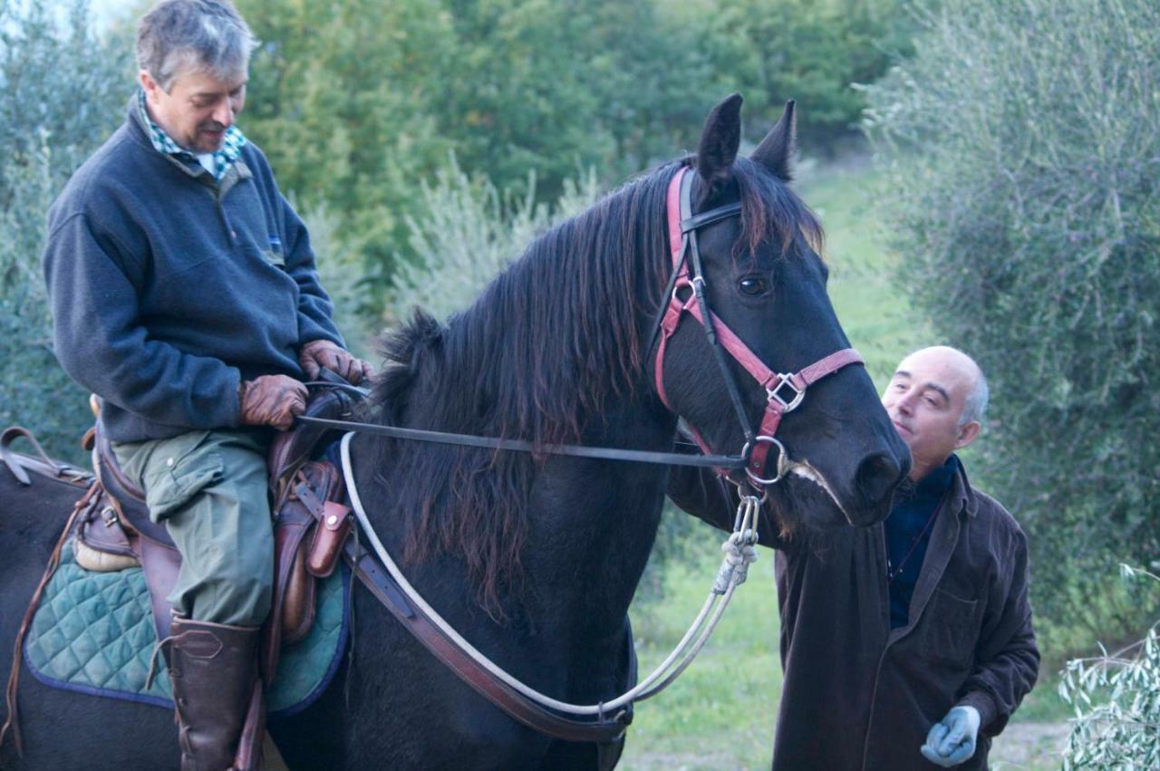 Вілла Podere Tepolino Кастель-дель-П'яно Екстер'єр фото